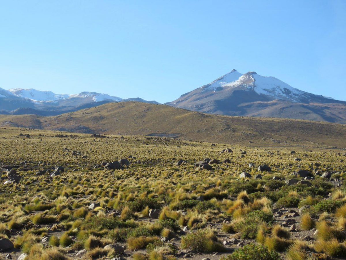 صبح بالا می آید و زمین آرام می گیرد، آفتاب می خورم و گرم می شوم، حالا قله آتشفشانی "ال تاتیو" هم در مرز بولیوی و شیلی سر بلند کرده است و خودنمایی می کند با آن تاج سروری سفید رنگش